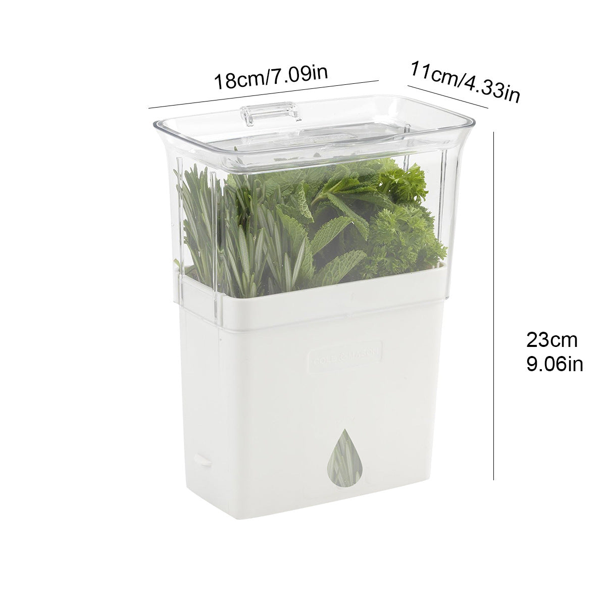 Fresh Herb Keeper