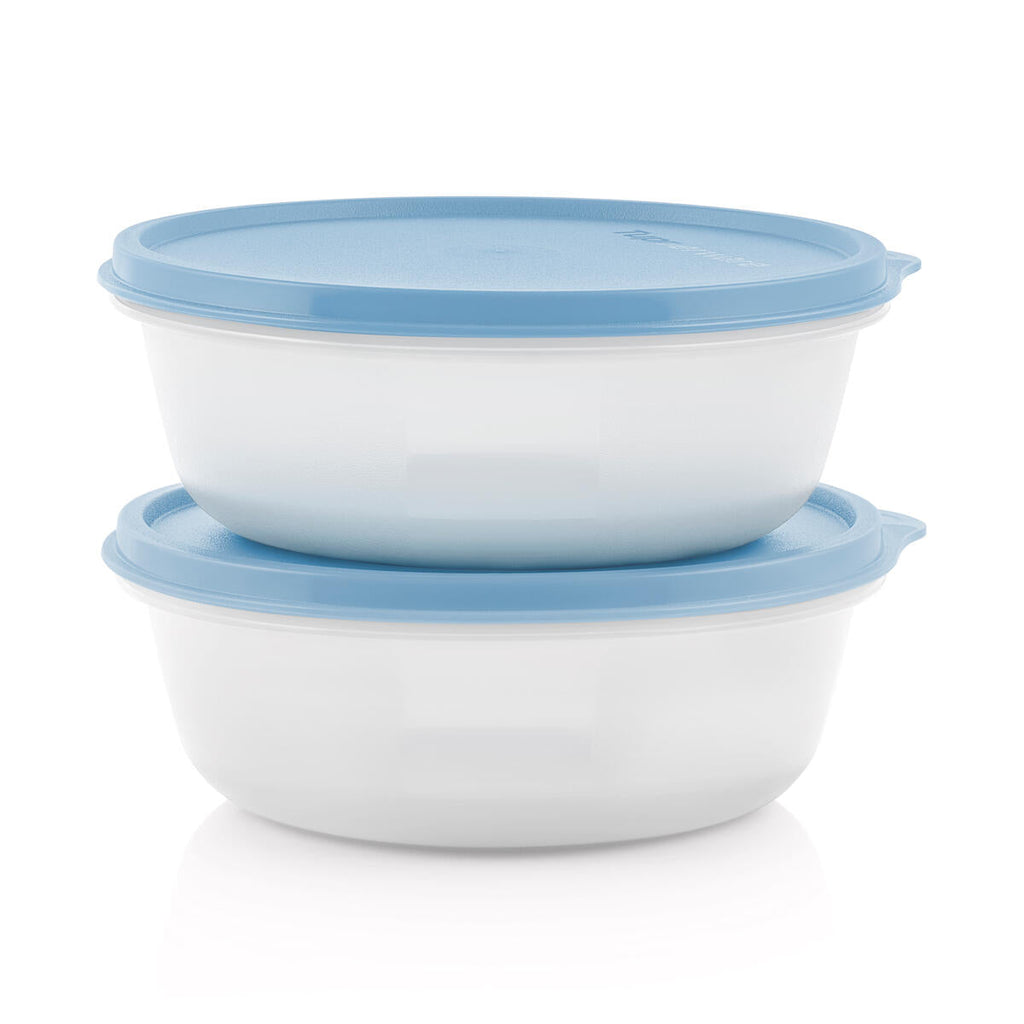 Set of 2 Refrigerator Storage Bowls