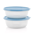 Set of 2 Refrigerator Storage Bowls